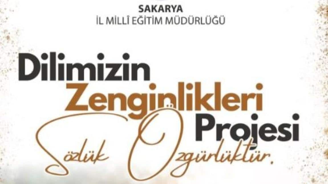 DİLİMİZİN ZENGİNLİKLERİ